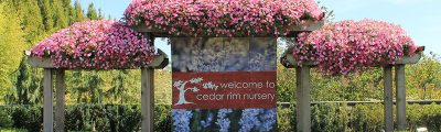 cedar-rim-welcome