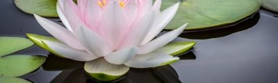 jay-castor-7AcMUSYRZpU-unsplash